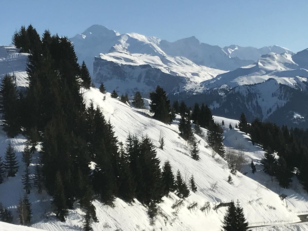 Residence Les Chardons Argentes Samoens Bagian luar foto