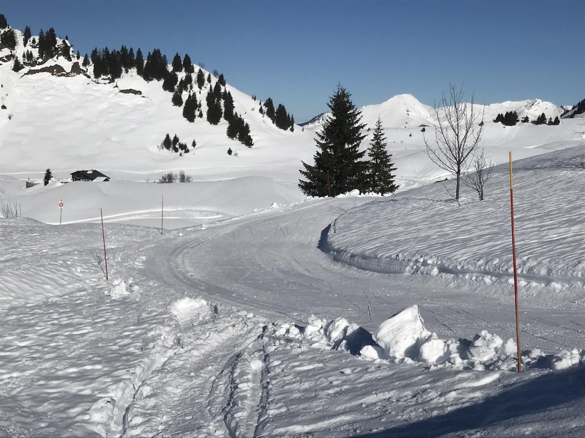 Residence Les Chardons Argentes Samoens Bagian luar foto