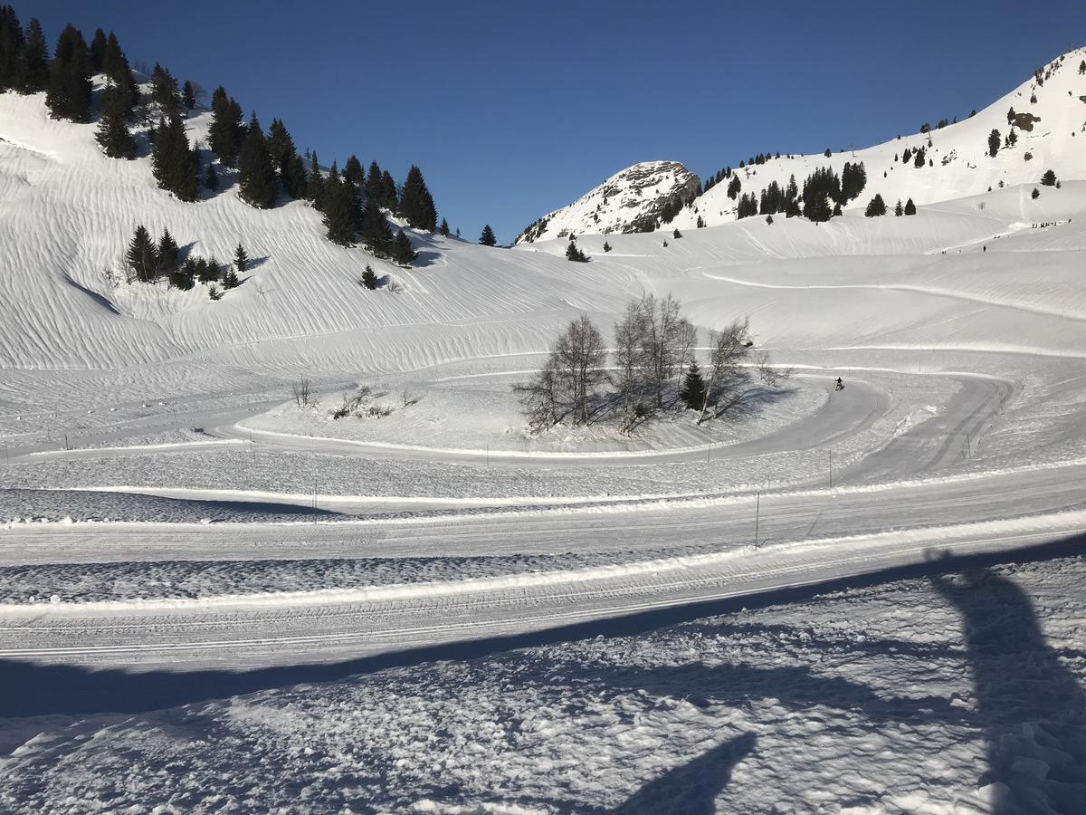 Residence Les Chardons Argentes Samoens Bagian luar foto